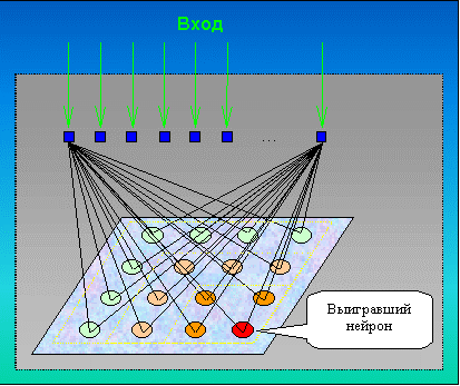 Схема активации нейронов в сети Кохонена